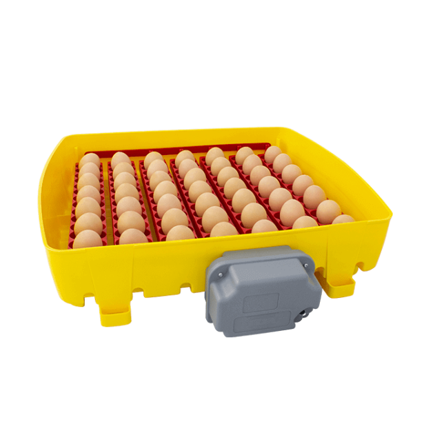 Broedmachines voor 12, 24 en 49 eieren automatisch River