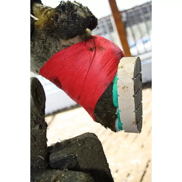 Two-Component Glue Block Bond and its accessories