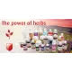 Fertility Dietary Supplement Vit E + Selenium Red Animals 500 ml