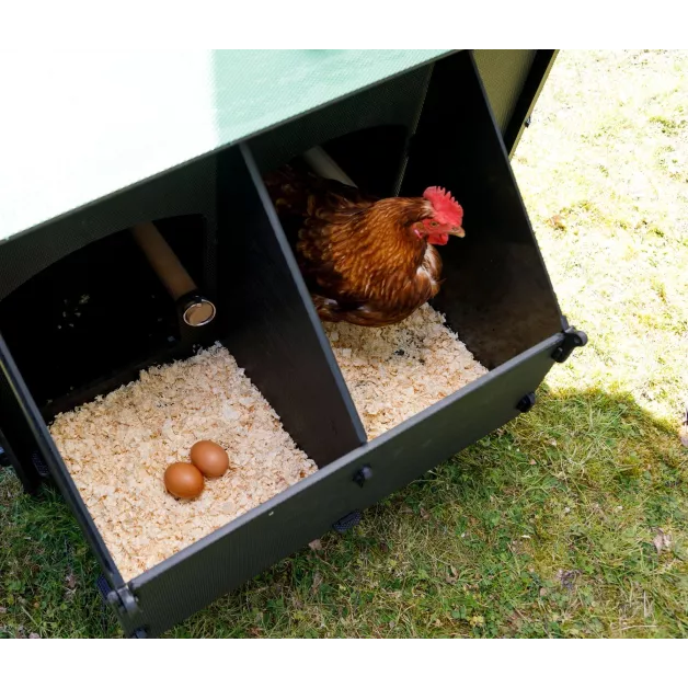 Poulailler iglou-écodesign sur pieds en plastique recyclé impérissable