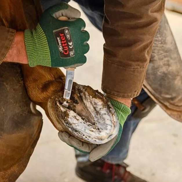 Rénettes Aesculap pour soins des pieds d'animaux d'élevage Rénettes Aesculap pour soins des pieds d'animaux d'élevage
