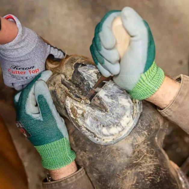 Rénettes Aesculap pour soins des pieds d'animaux d'élevage Rénettes Aesculap pour soins des pieds d'animaux d'élevage