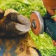 Disques de parage de qualité pour le soin des onglons des bovins