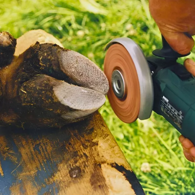 Kwalitatieve schijven voor het bekappen van rundveeklauwen. Kwalitatieve schijven voor het bekappen van rundveeklauwen.