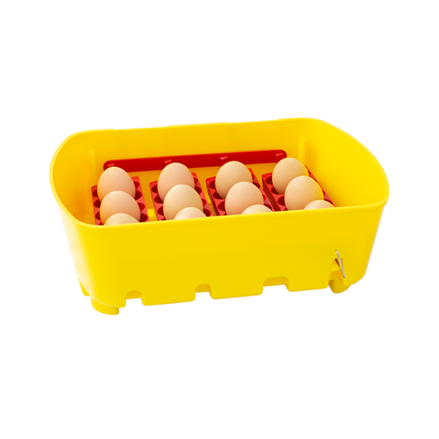 Broedmachines voor 12, 24 en 49 eieren automatisch River