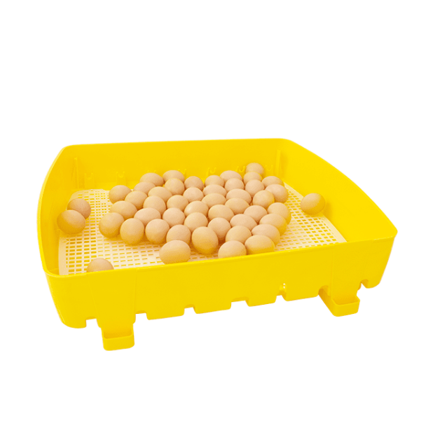 Broedmachines voor 12, 24 en 49 eieren automatisch River