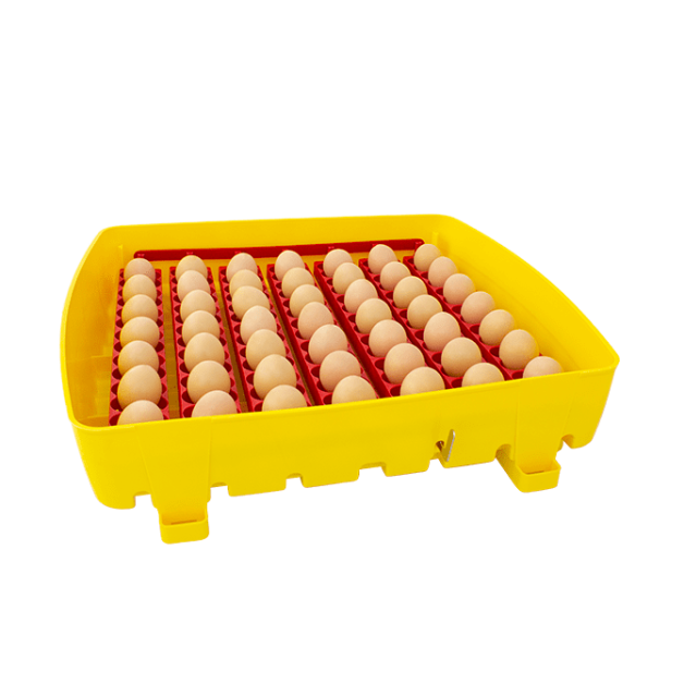 Broedmachines voor 12, 24 en 49 eieren automatisch River