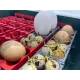 Egg stabilizer Stabila for incubator
