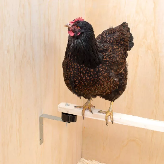 Rode anti-luizen kit voor zitstok