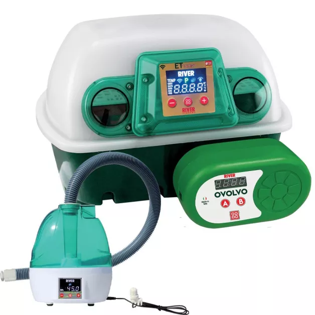 CONNECTED INCUBATOR PACK RIVER "AND TOP" FOR CHICKS