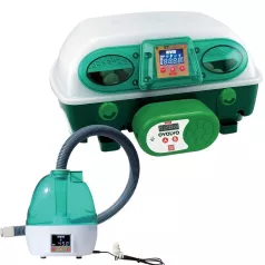 VERBONDEN BROEDERIJSET RIVER "EN TOP" VOOR KUIKENS VERBONDEN BROEDERIJSET RIVER "EN TOP" VOOR KUIKENS