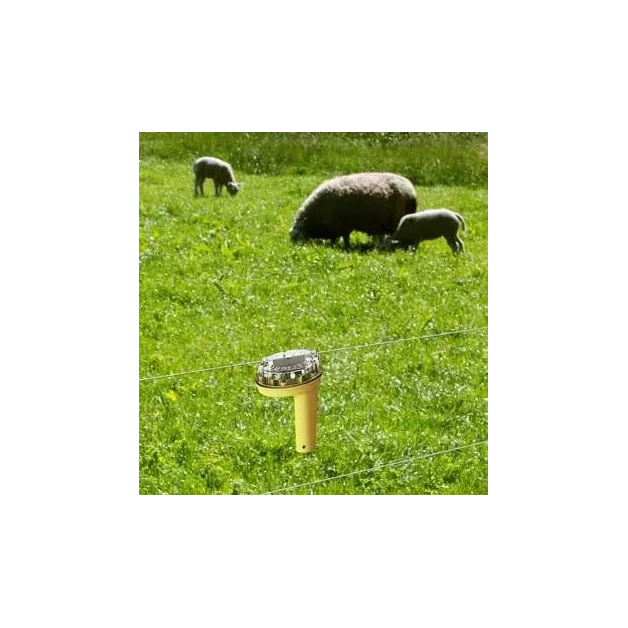 Anti prédateur Foxlights Gallagher 