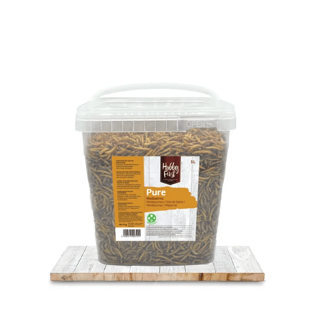 Complementary food from Hobby First - Mealworms