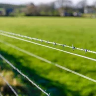 Hoe kies je de juiste tondeuse voor je dieren in België en Frankrijk? Hoe kies je de juiste tondeuse voor je dieren in België en Frankrijk?