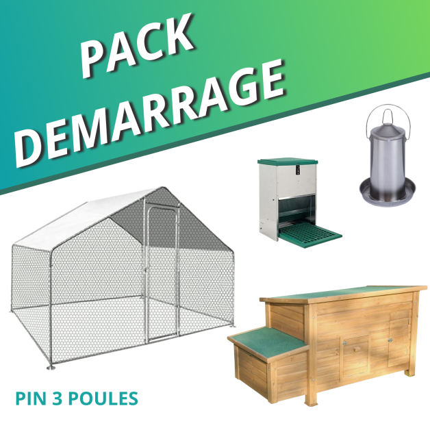Chicken coop and enclosure set for 3 hens