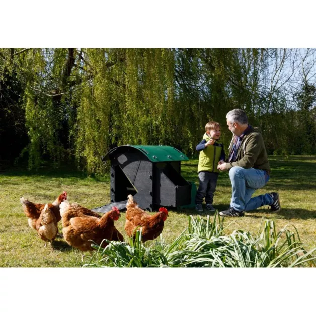 Pakket kippenhok en omheining voor 3 kippen Pakket kippenhok en omheining voor 3 kippen