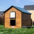 Chicken Coop HPL : Model:Polly XXL 9 poules