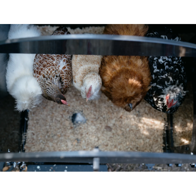 Kippenhok iglo-ecodesign op poten van onverwoestbaar gerecycled plastic