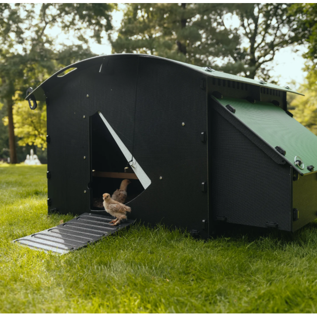 Kippenhok iglo-ecodesign op poten van onverwoestbaar gerecycled plastic