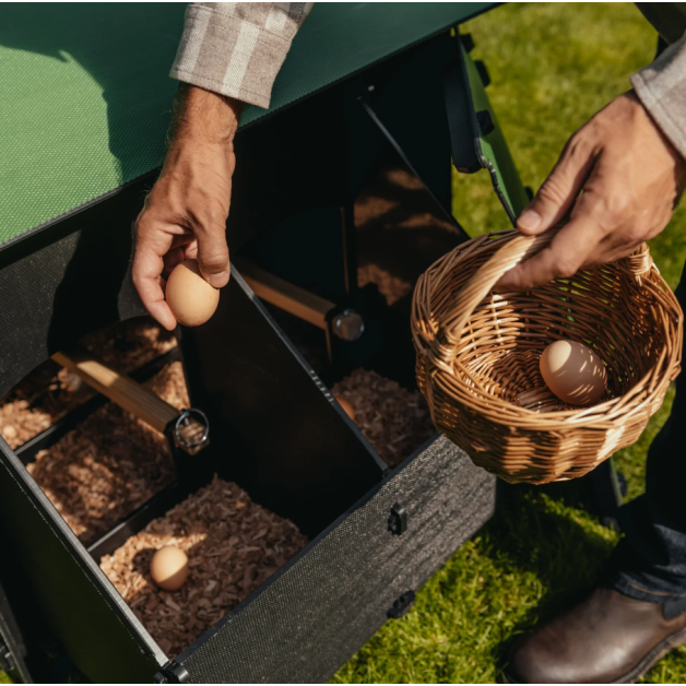 Kippenhok iglo-ecodesign op poten van onverwoestbaar gerecycled plastic
