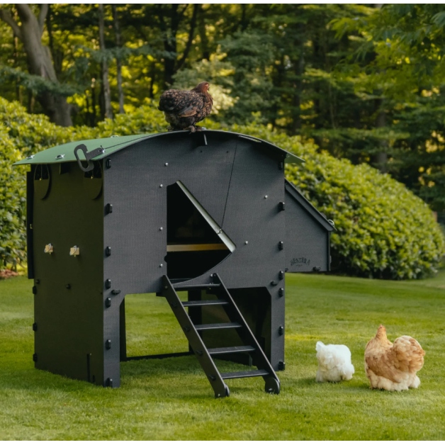 Kippenhok iglo-ecodesign op poten van onverwoestbaar gerecycled plastic