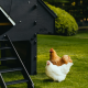 Igloo-ecodesign chicken coop on legs made of imperishable recycled plastic