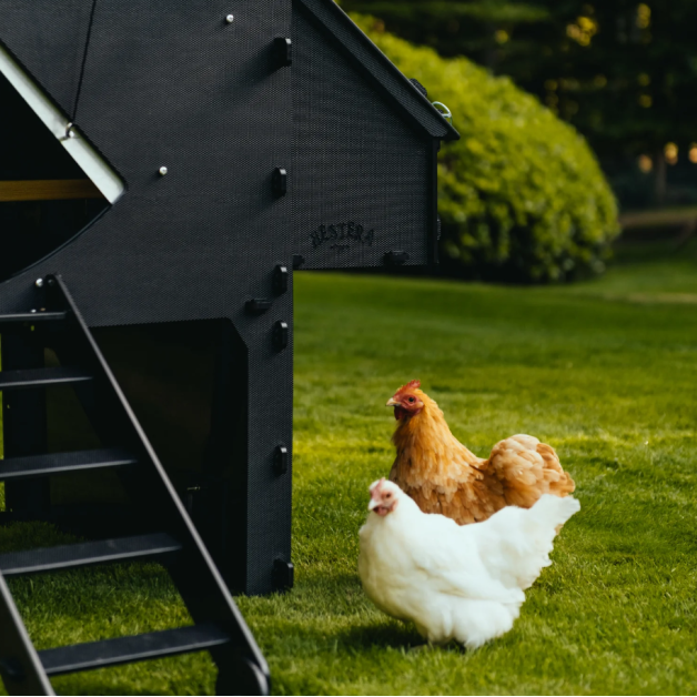 Poulailler iglou-écodesign sur pieds en plastique recyclé impérissable