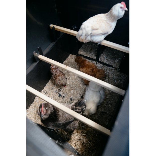 Kippenhok iglo-ecodesign op poten van onverwoestbaar gerecycled plastic