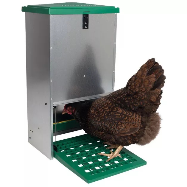 Pest-proof hopper feeder 20 kg