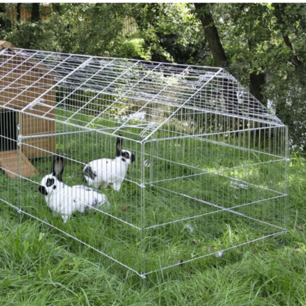 Outdoor enclosure for Syracuse chicken coop