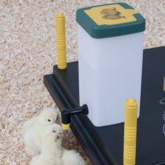 Drinking trough with a pipette for chicks