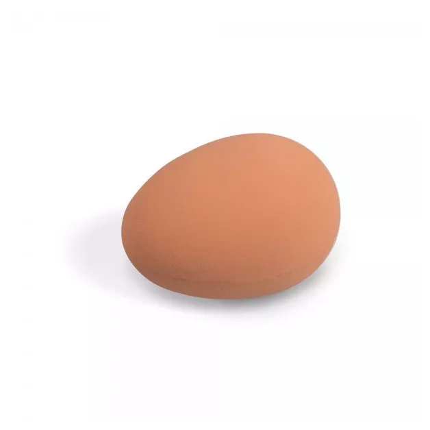 Fake eggs to encourage your hens to lay eggs