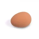 Fake egg