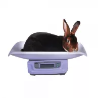 Digital Scale WS-20