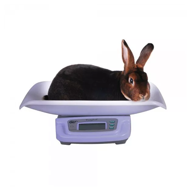 Digital scale WS-20