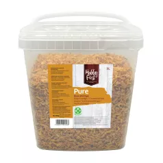 Freshwater shrimps Pure River Shrimps Freshwater shrimps Pure River Shrimps