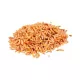 Freshwater shrimps Pure River Shrimps