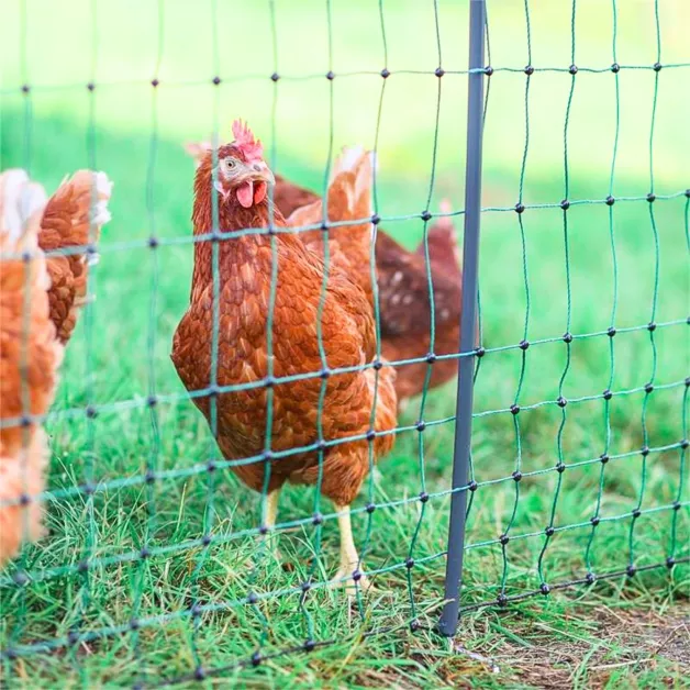 Filet volailles électrique doubles pointes Kerbl  Filet volailles électrique doubles pointes Kerbl