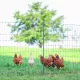 Electric poultry netting double spikes Kerbl