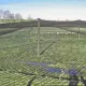 Aviary nets