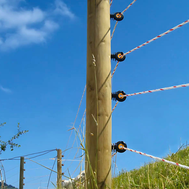 Cordon Turboline 6 mm