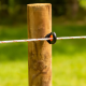 Cordon Turboline 6 mm