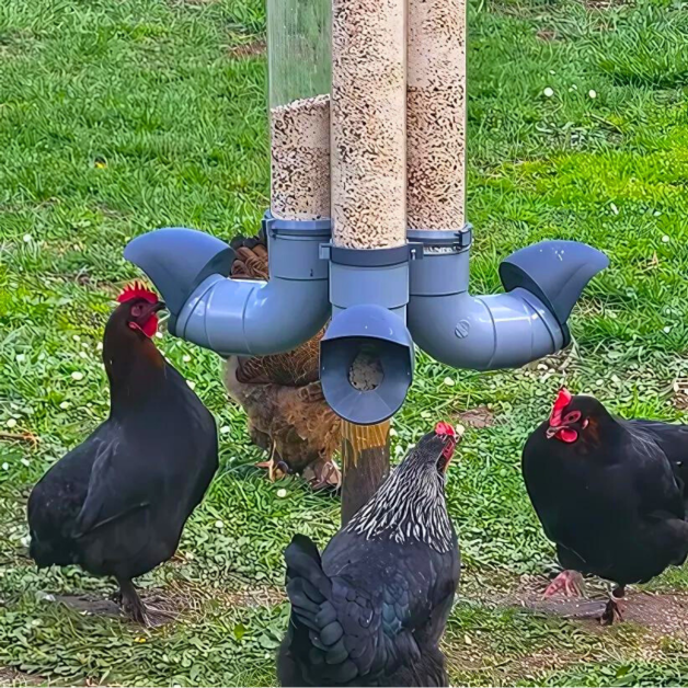 Pest-proof feeders for chickens Pest-proof feeders for chickens