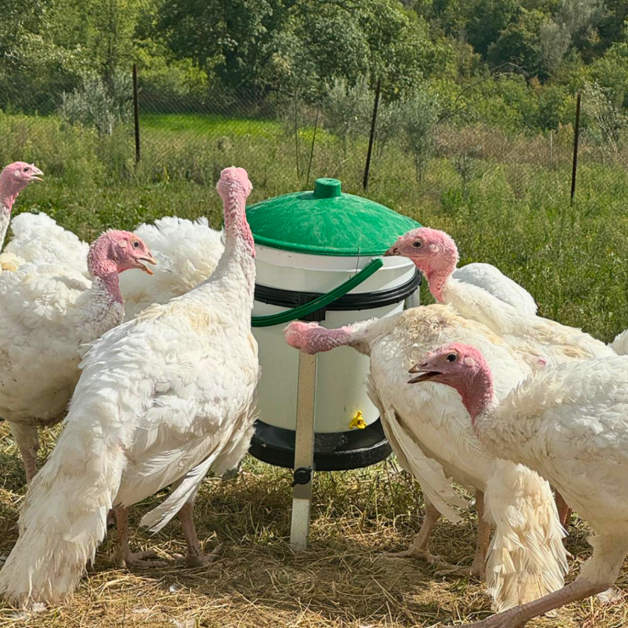 Drinking trough with nipple bucket RIVER – Capacity 17 Liters Drinking trough with nipple bucket RIVER – Capacity 17 Liters