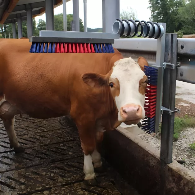 Veeborstel Schraper Veeborstel Schraper