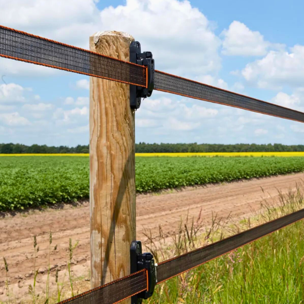 Ruban Gallagher 40 mm Ruban Gallagher 40 mm