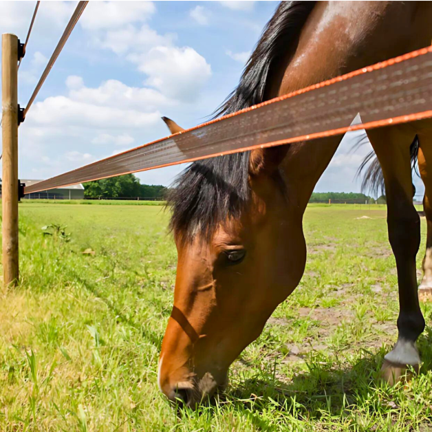 Ruban Gallagher 40 mm Ruban Gallagher 40 mm