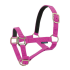 Licol Norton nylon : Taille:Shetland, Couleur:Fuchsia