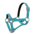 Licol Norton nylon : Taille:Shetland, Couleur:Turquoise