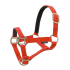Licol Norton nylon : Taille:Shetland, Couleur:Rouge